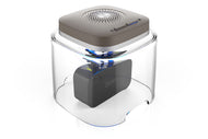 Dry Cap UV